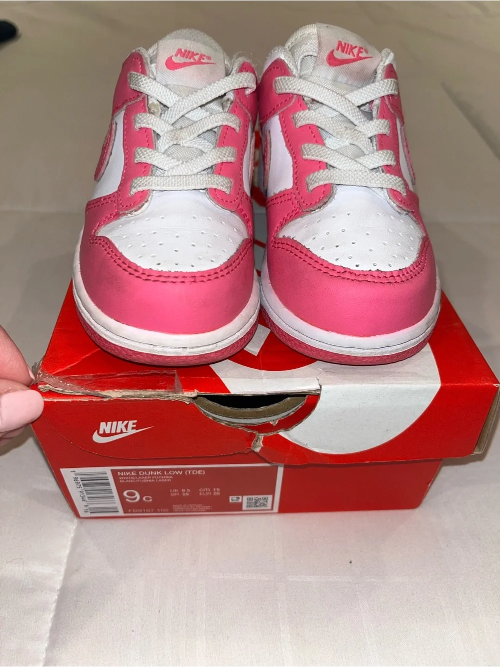 Nike Toddler Low Dunks - 9c